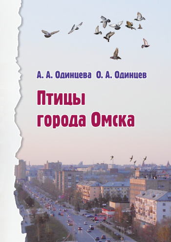 Птицы города Омска