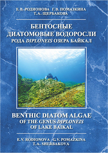 Бентосные диатомовые водоросли рода Diploneis озера Байкал : Атлас- определитель