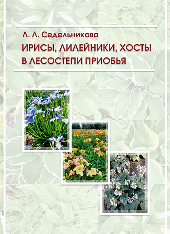 Ирисы, лилейники, хосты в лесостепи Приобья